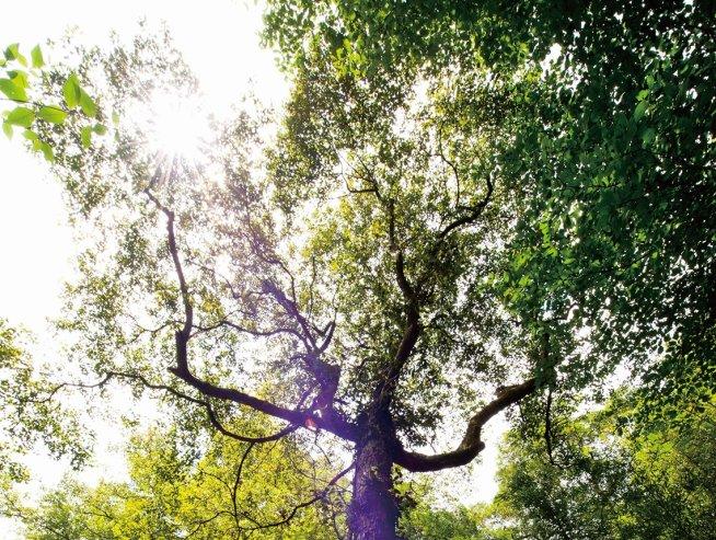 治理“火车站骗局”还需多管齐下“beat365”(图2)