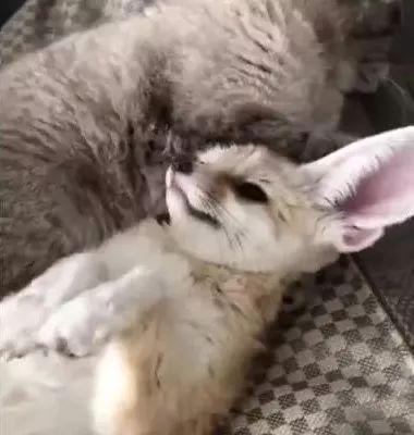 有爱的教育才有力量‘BEAT365’(图4)