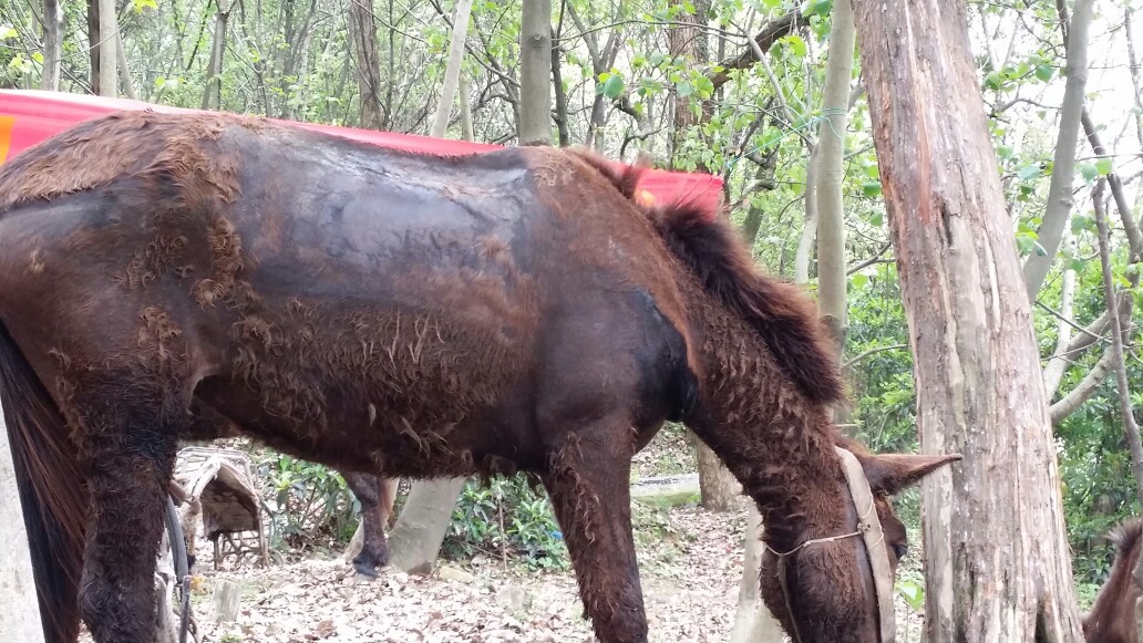 主考官“踢假球”击中公考监管软肋-BEAT365(图3)