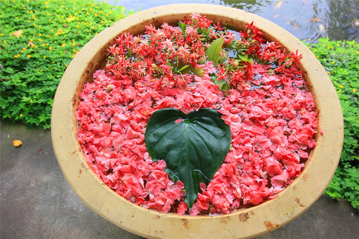 beat365官网中文|手术价格真能做到“可商量”吗?(图2)